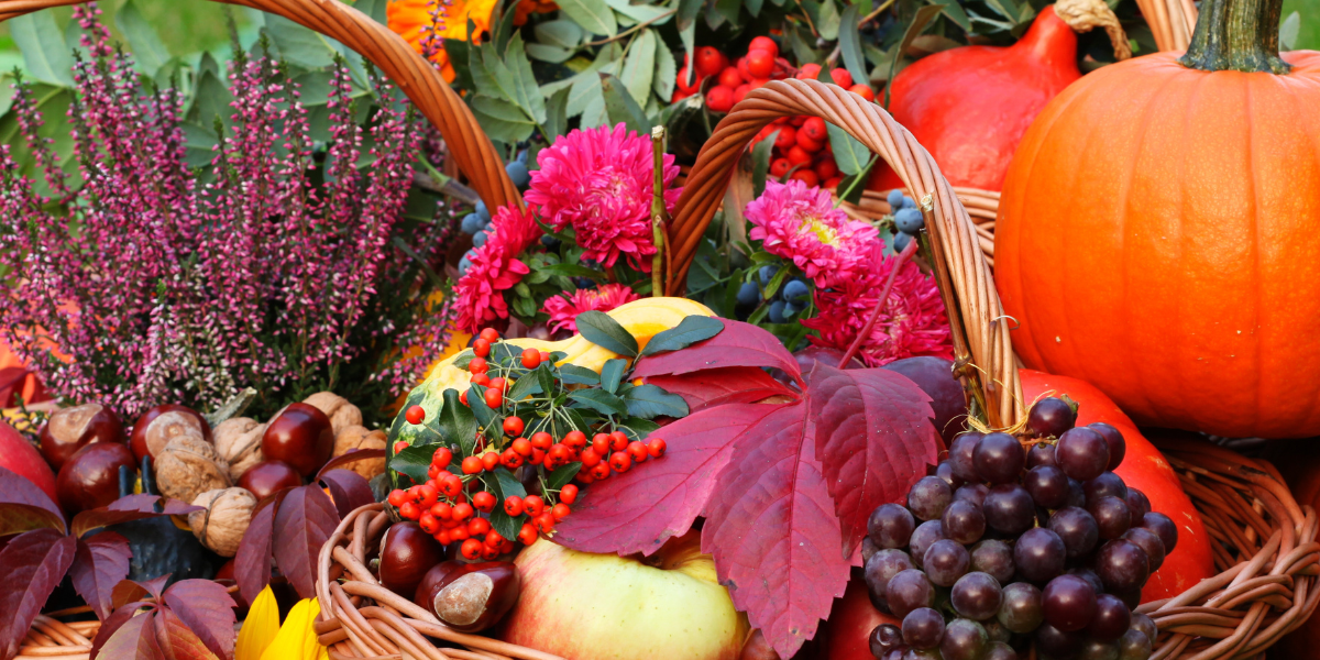 Fall Smoothies